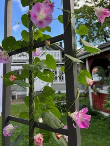 Hotelli Kaivo Naantali Bagian luar foto